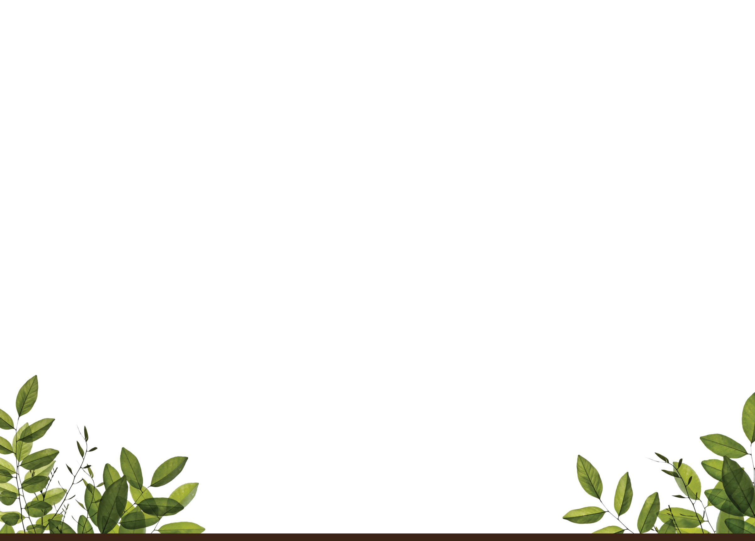 Poppy-Home-Bottom.png