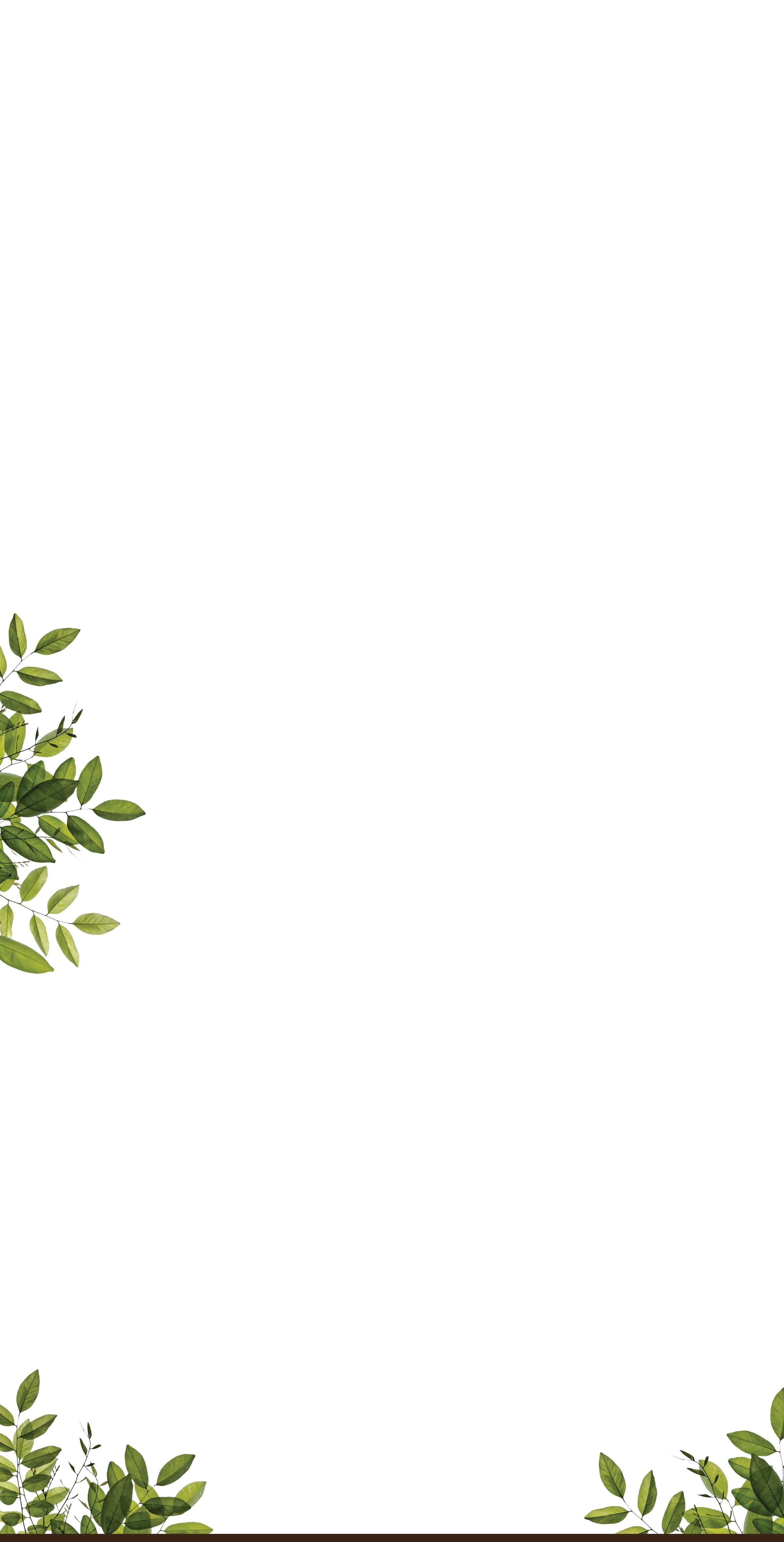 Galleries-background 2.png