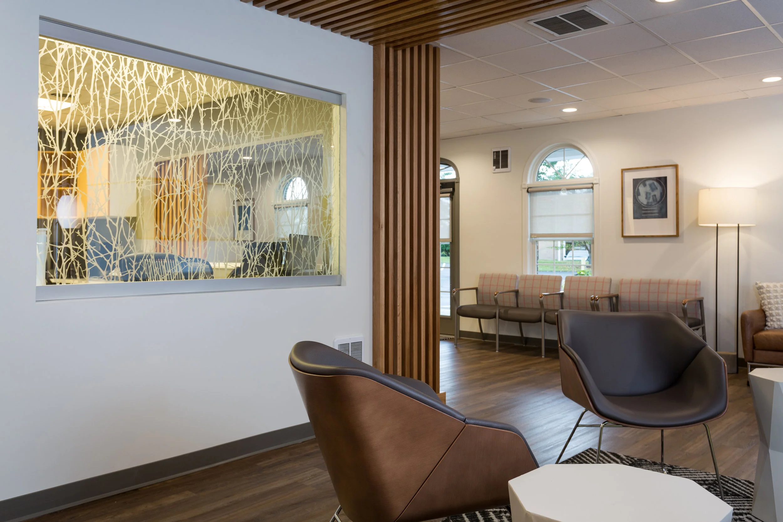 ShenandoahNephrology.LineateInteriors.hidden plug.jpg