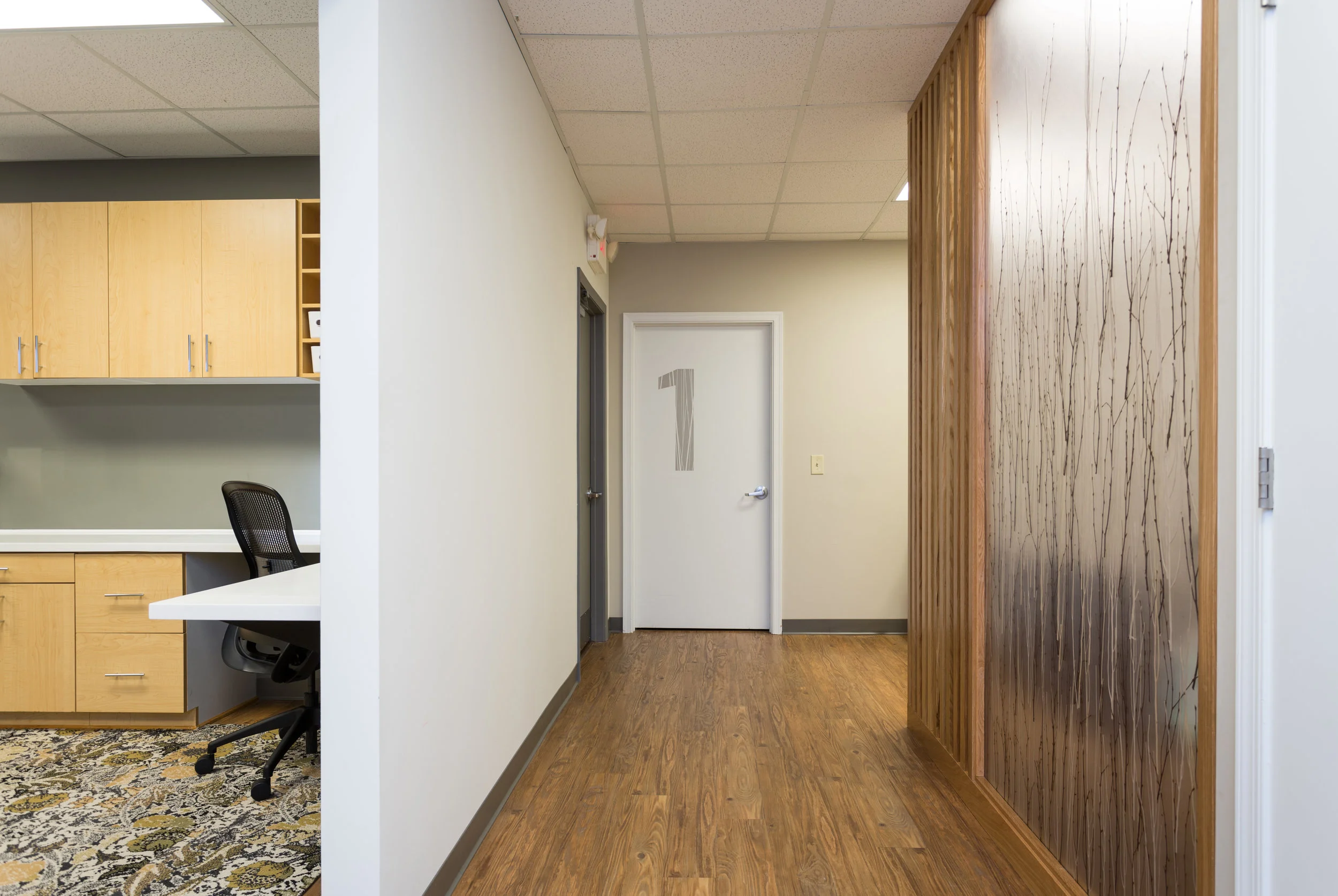 ShenandoahNephrology.LineateInteriors.9.1.2018-31 no plug.jpg