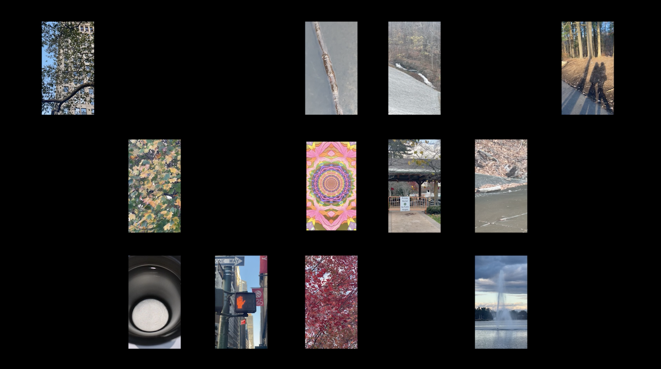 ART TO VIDEO | Heal Through Time Journal 