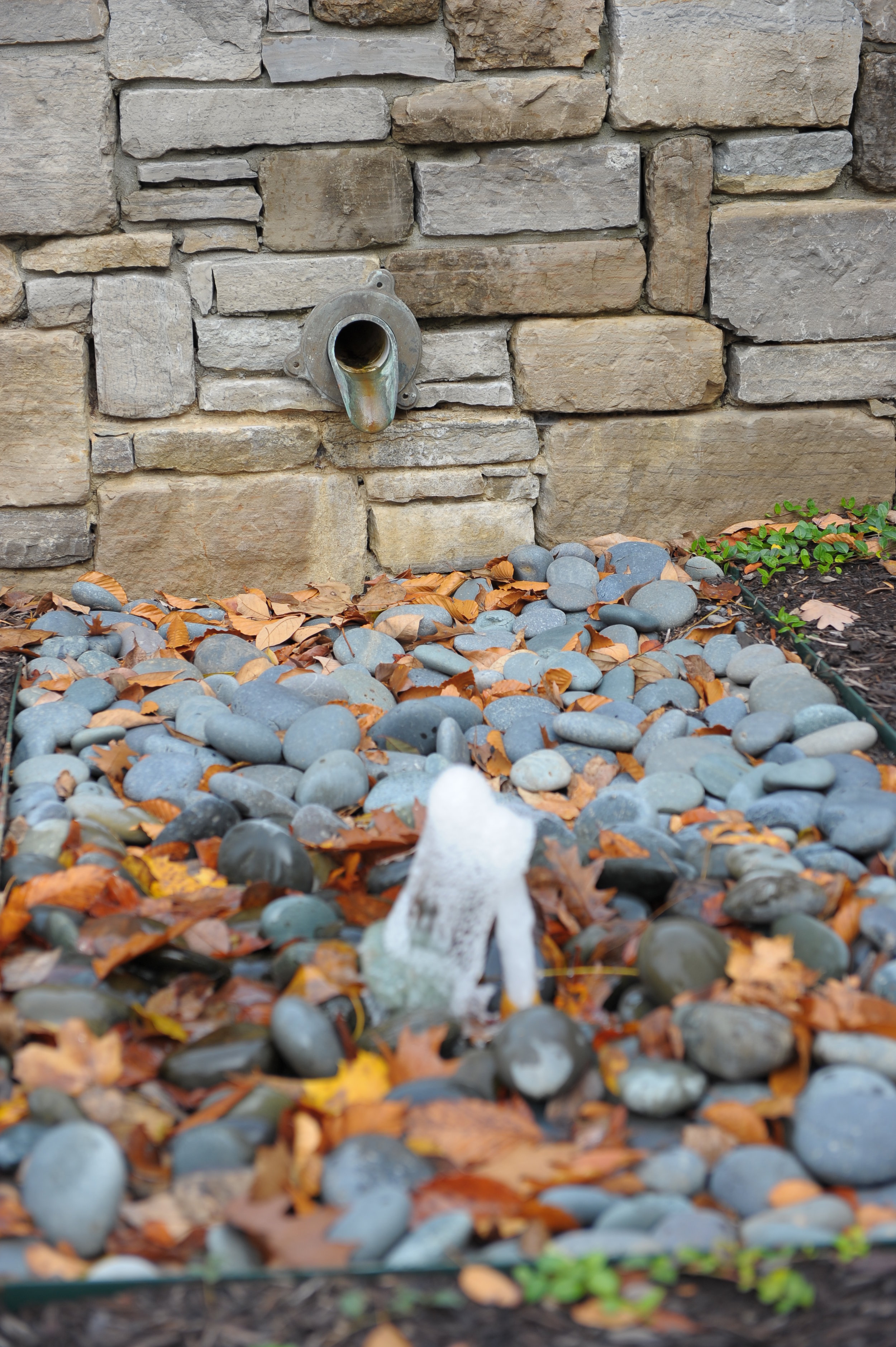 DSC_8932.JPG