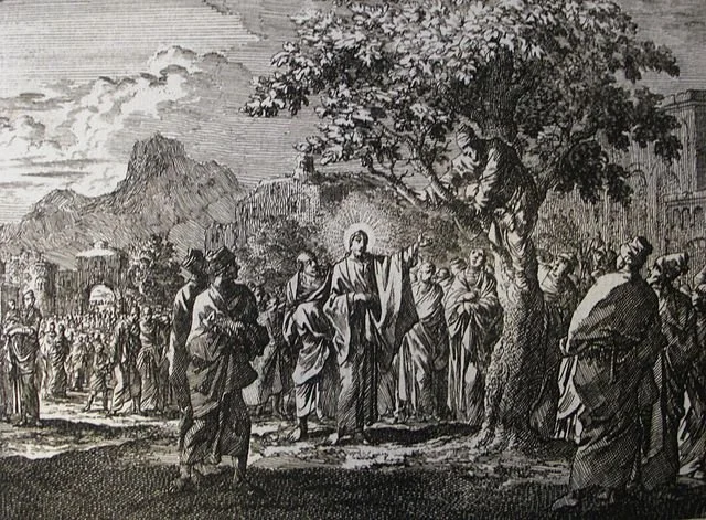 The One Who Seeks the Lost – 30 October 2022