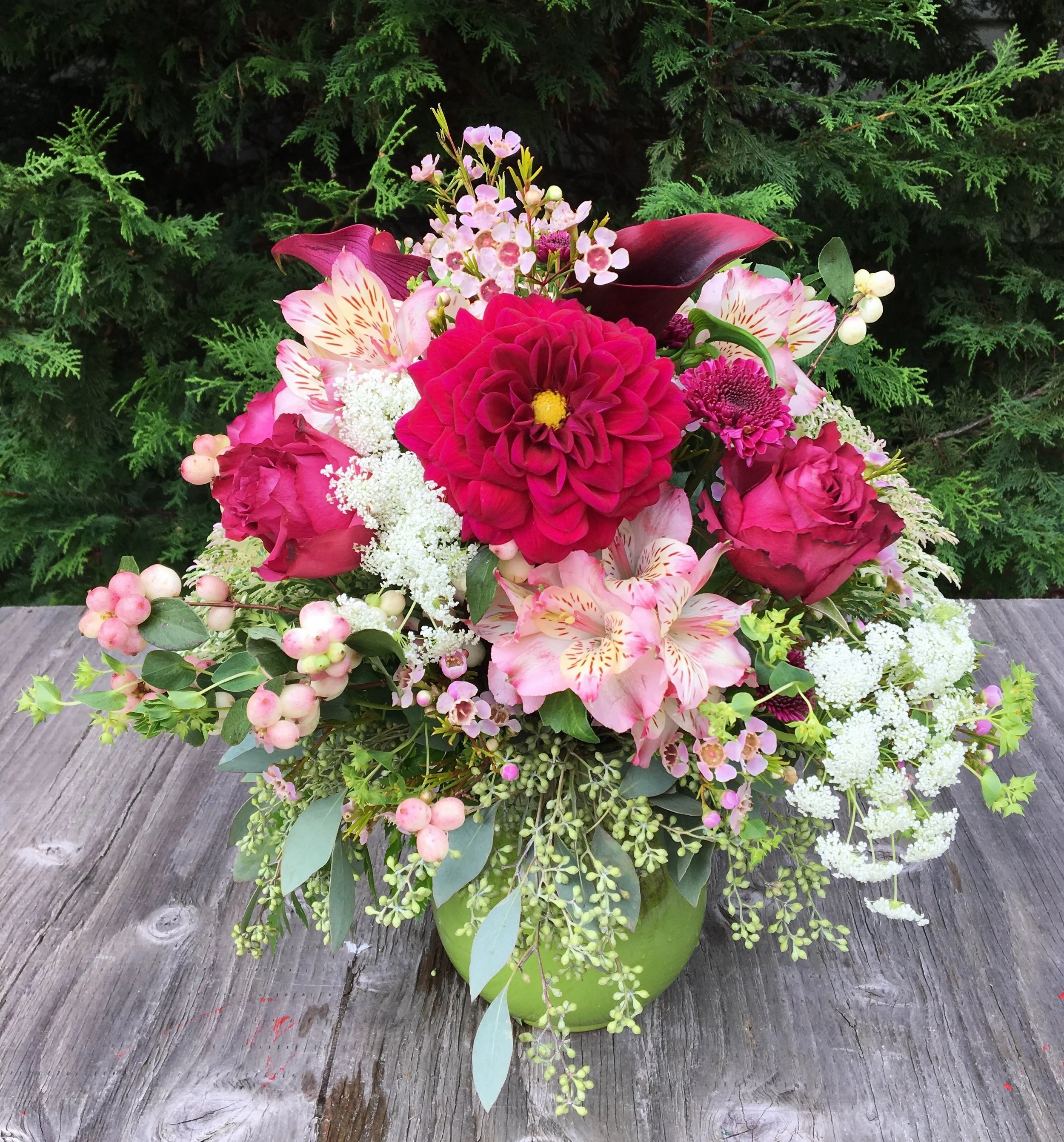 Red Dahlia:Pink Snow Berry 5.JPG