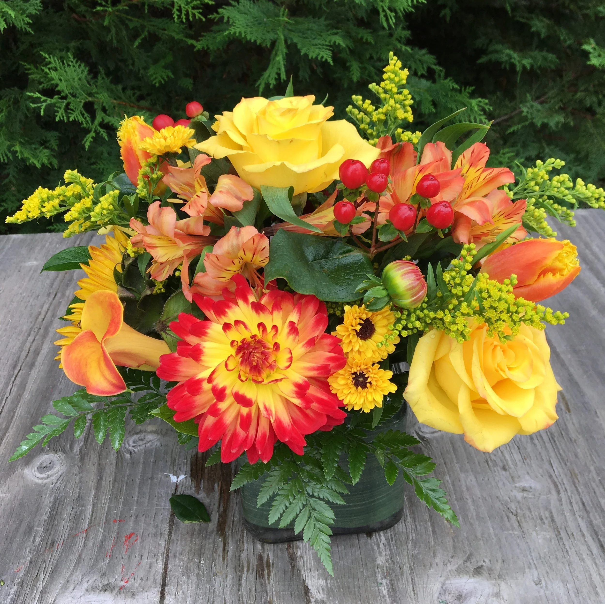 $50 Yellow Fall Rose 3.JPG