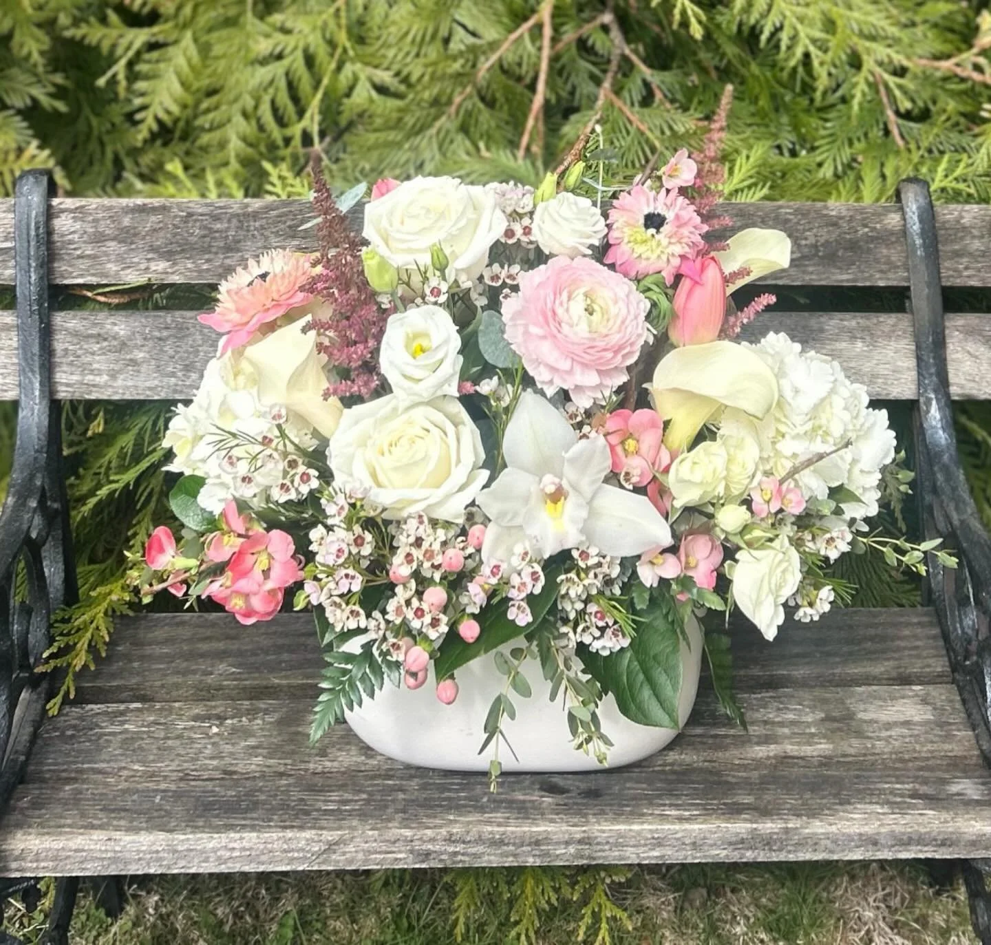 Spring has Sprung!! 🌸

(516) 432-9783 🌷