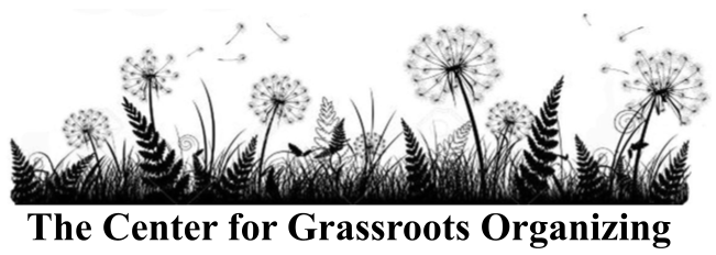 Copy of Grassroots Logo (1) (1).png