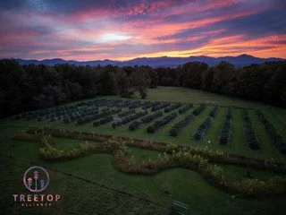 6/13 A Mid-Season Cannabis Vegetative Maintenance and Flower Preparation Workshop