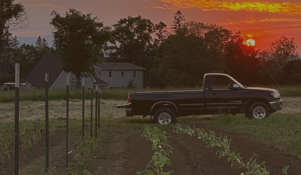 5/23 Work Brigade at Dawn Land Farm