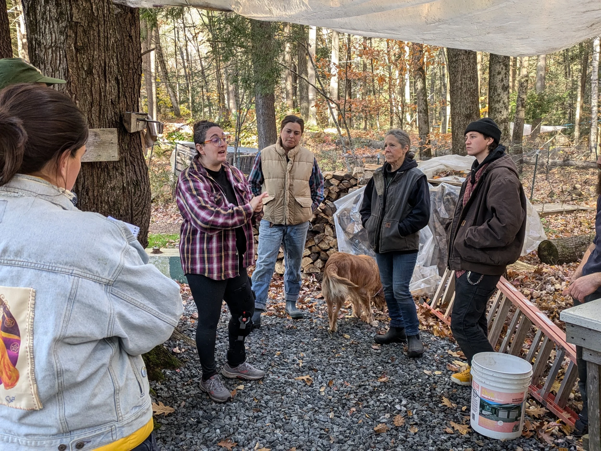 Rabbit On-Farm Slaughter & Processing Workshop at Giant Journey | Saturday, Nov. 21st | 11:00am - 2:00pm