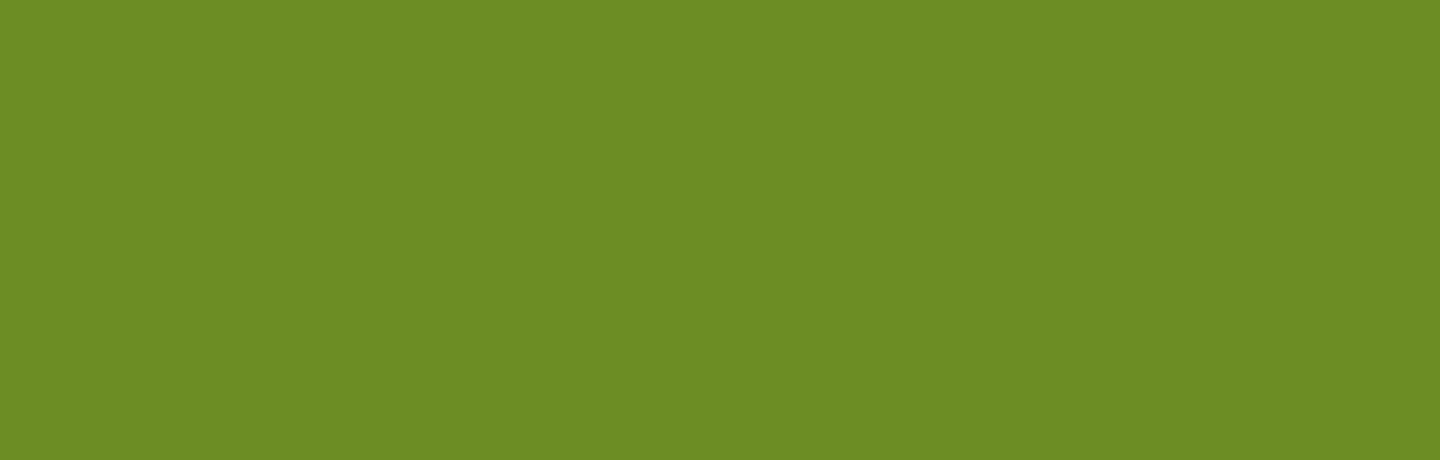 green-background.png