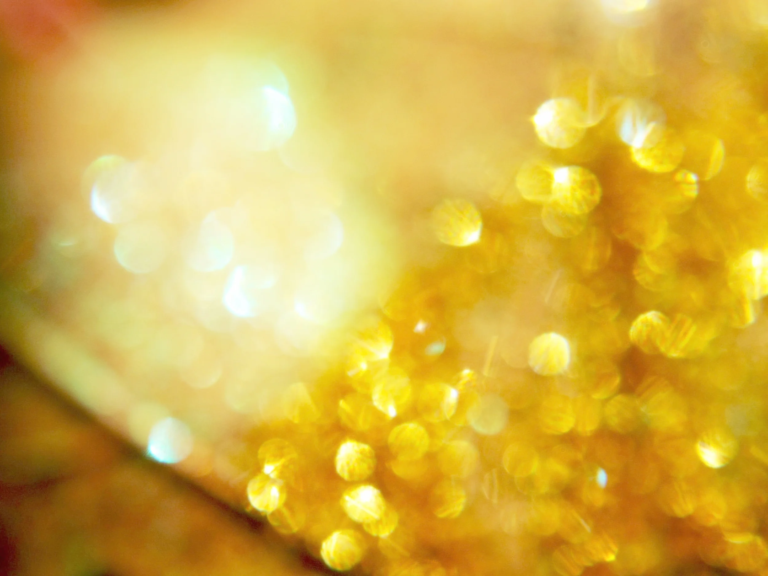 Einzelberatung (1. Sitzung) | 1 Std. 