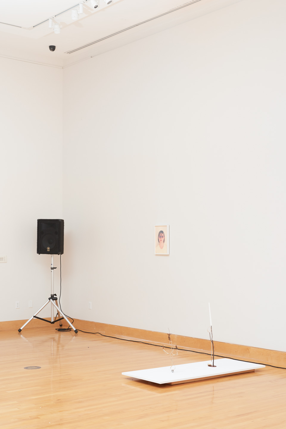  From left to right: Sound by Lucky Dragons, Photography by Josh Shaddock, Sculpture by Lesley Jackson. 