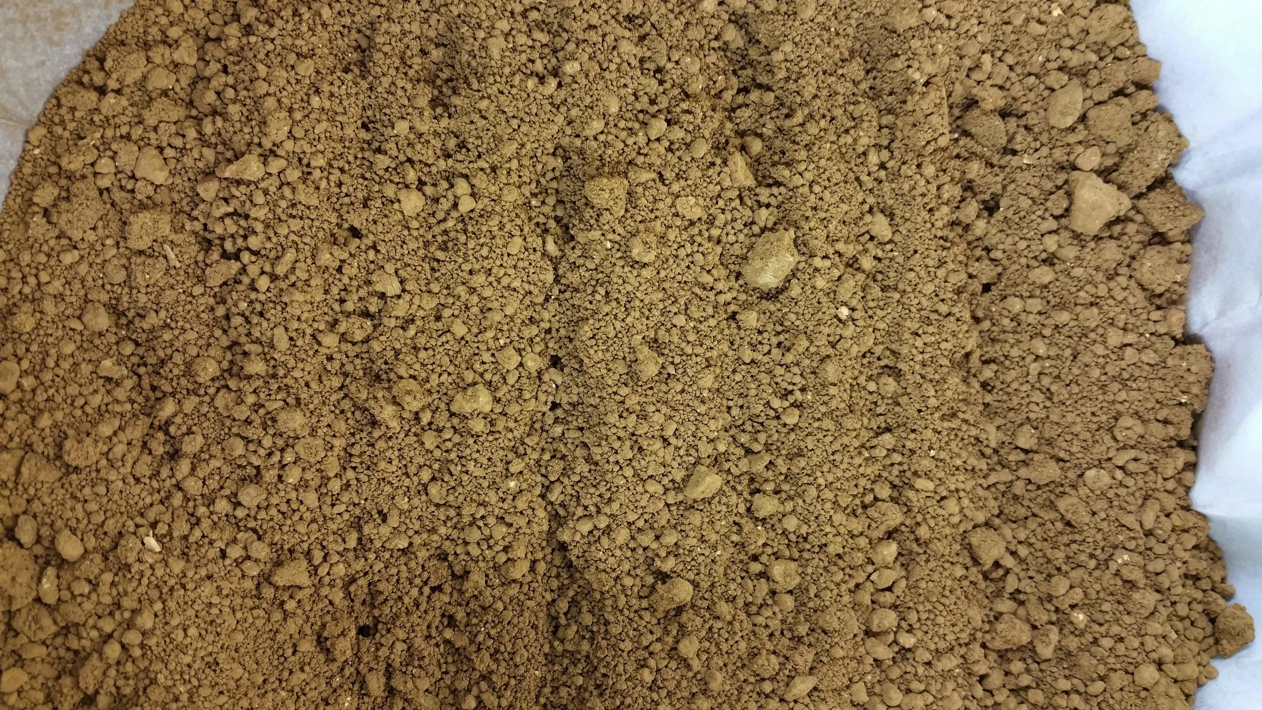 This is an image of gold “sponge” after precipitation from aqua regia, which is a mixture of hydrochloric and nitric acids. Because of the moisture you’ll notice the brownish hue.