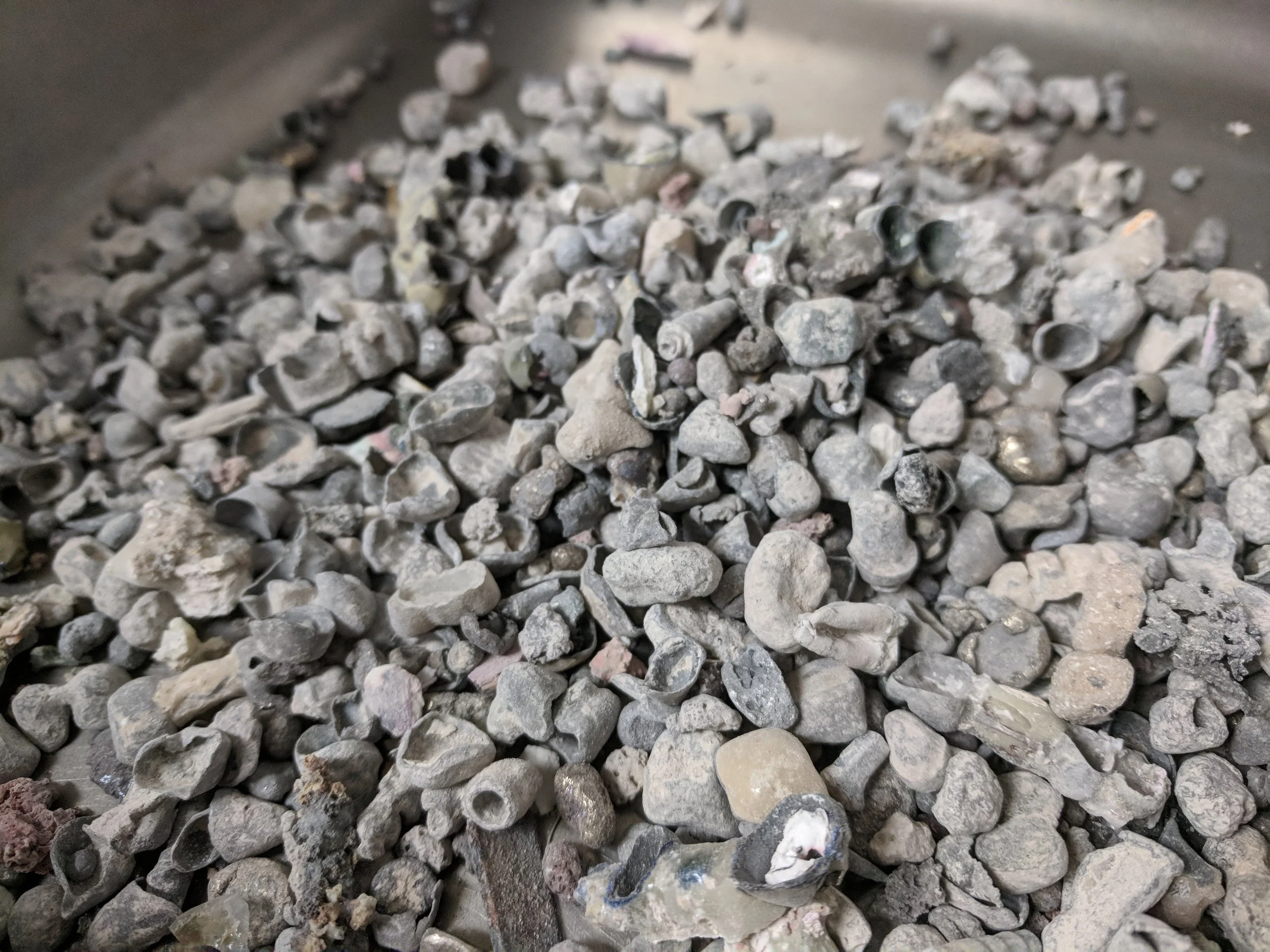 Cremated Ashes The Recomendation Letter Free Download Nude Photo Gallery this-company-creates-biodegradable-urns-that-turn-ashes-into-trees