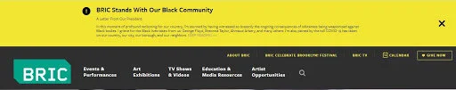 Screenshot of the BRIC Arts navigation bar.