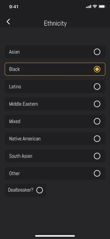 Screenshot of the initial low-fidelity filters page.