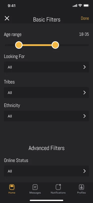 Screenshot of the interface elements used for the filters page.