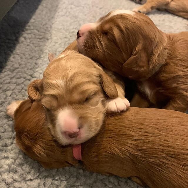 Sisters make the best pillows....❤️😴❤️