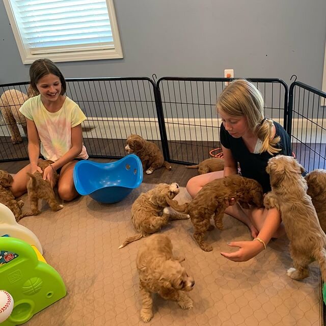 Puppy Playtime! ❤️🥰❤️#kidsandpuppies #bestfriends