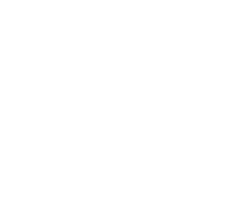 rocknroll.png