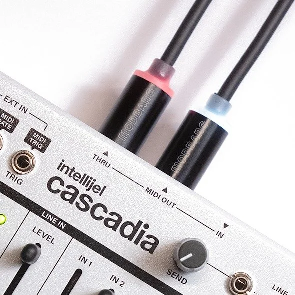 The Luma Noir MIDI cable is a modern take on the classic black MIDI cable. It features an embedded LED that illuminates the moment it's plugged into the OUT or THRU of a powered MIDI capable device..
.
.
.
#synth #synthesizer #daw #dawless #synths #m