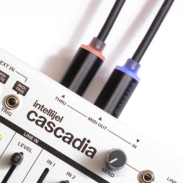Luma Noir LED MIDI Cables — Modbang