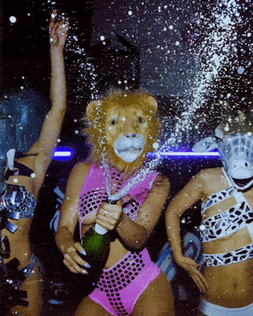 9.gif