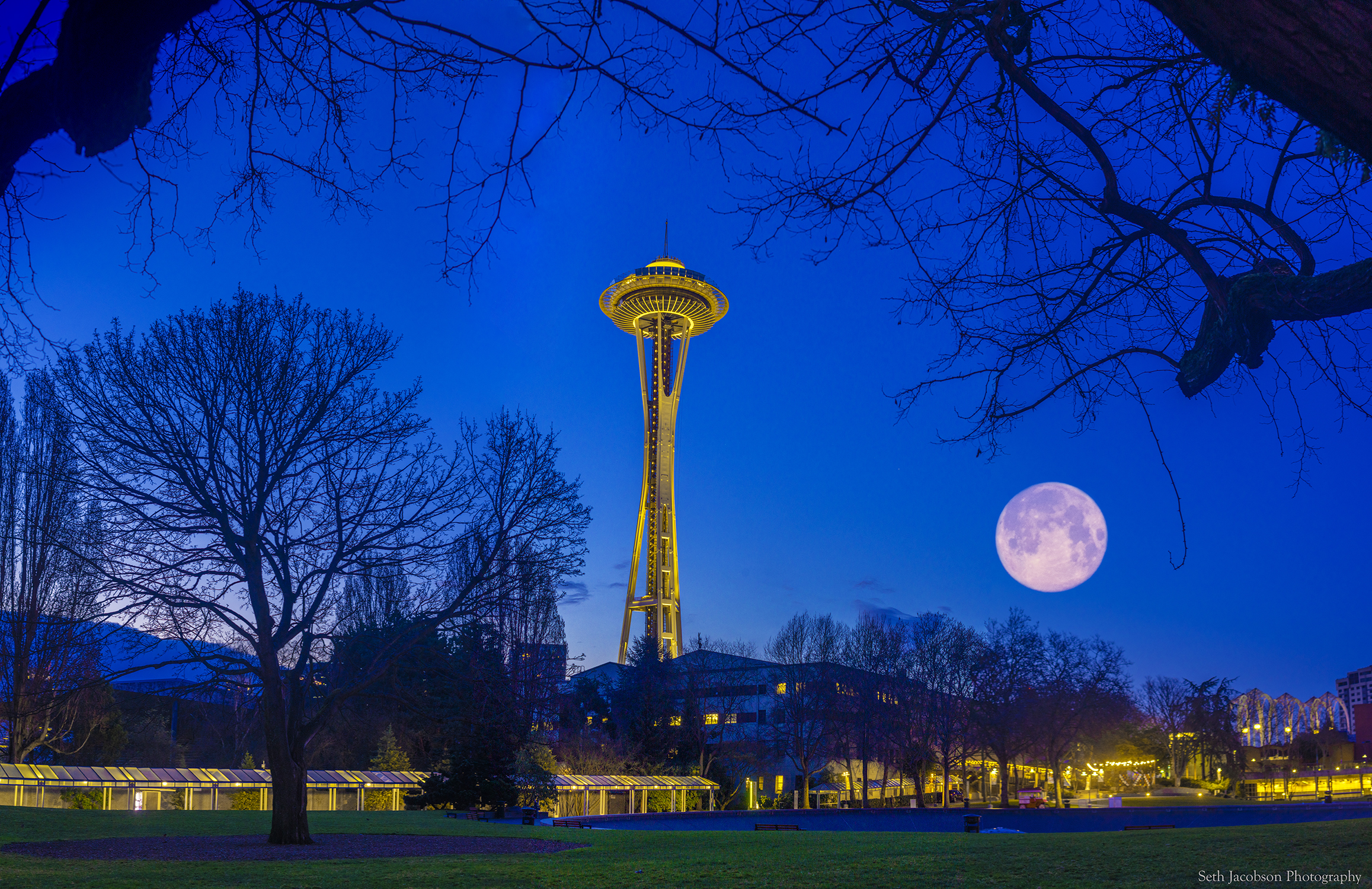 The Space Needle Seattle