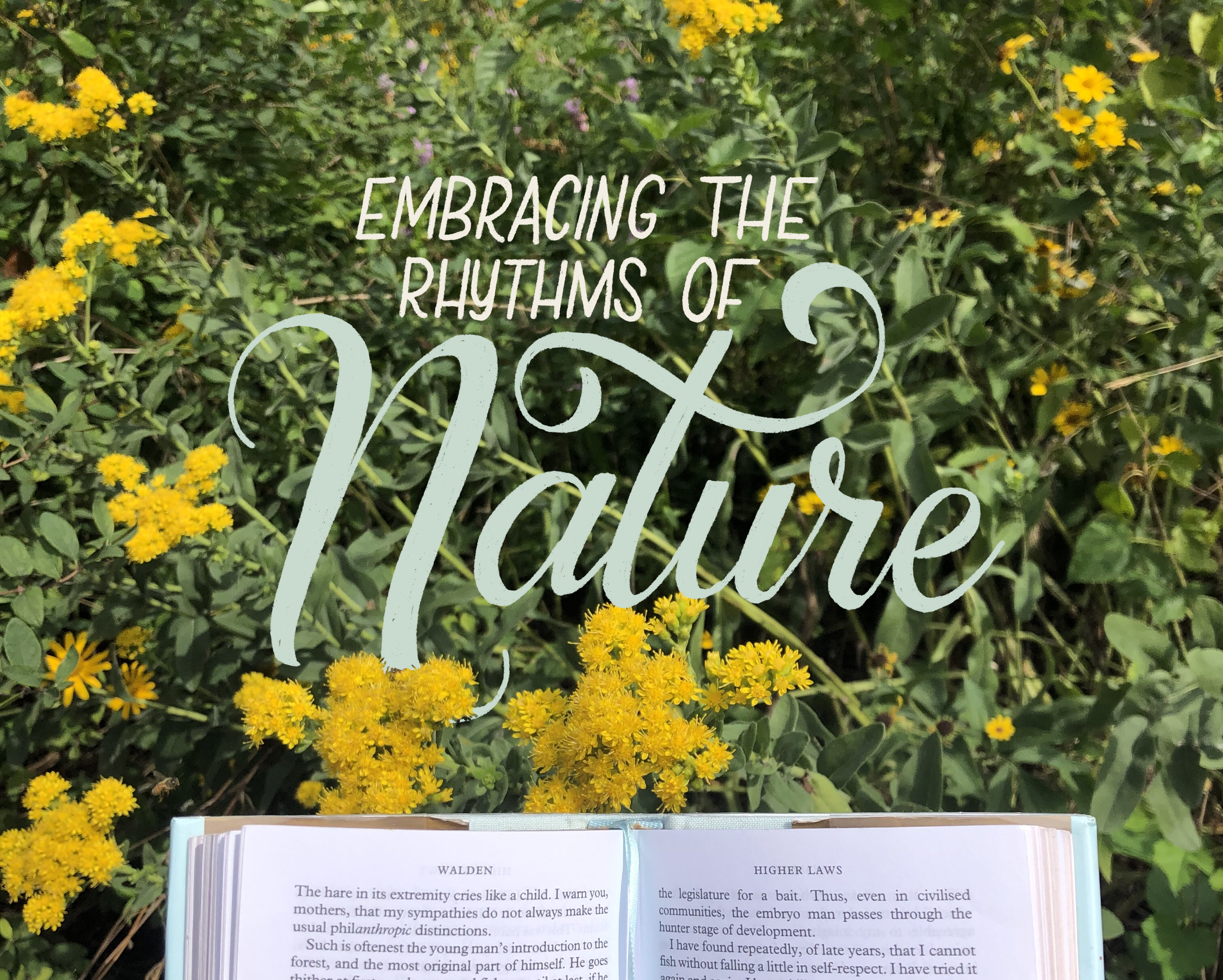 Connecting with Nature and Embracing the Changing Seasons in the City