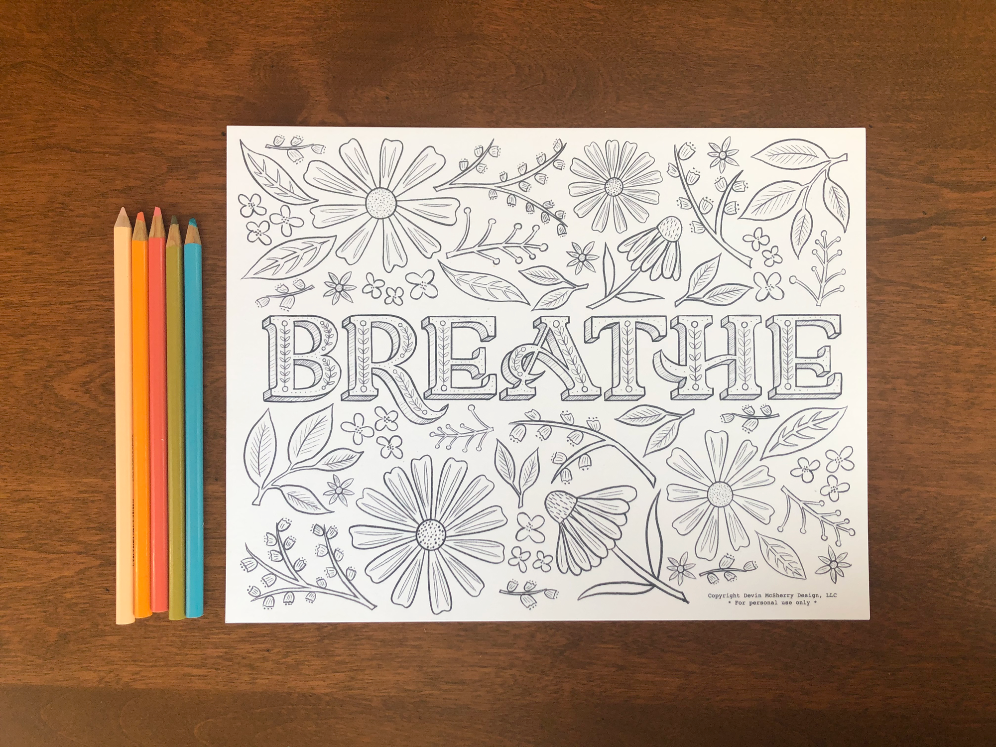 blog-8-coloring-page-2-devin-mcsherry.png