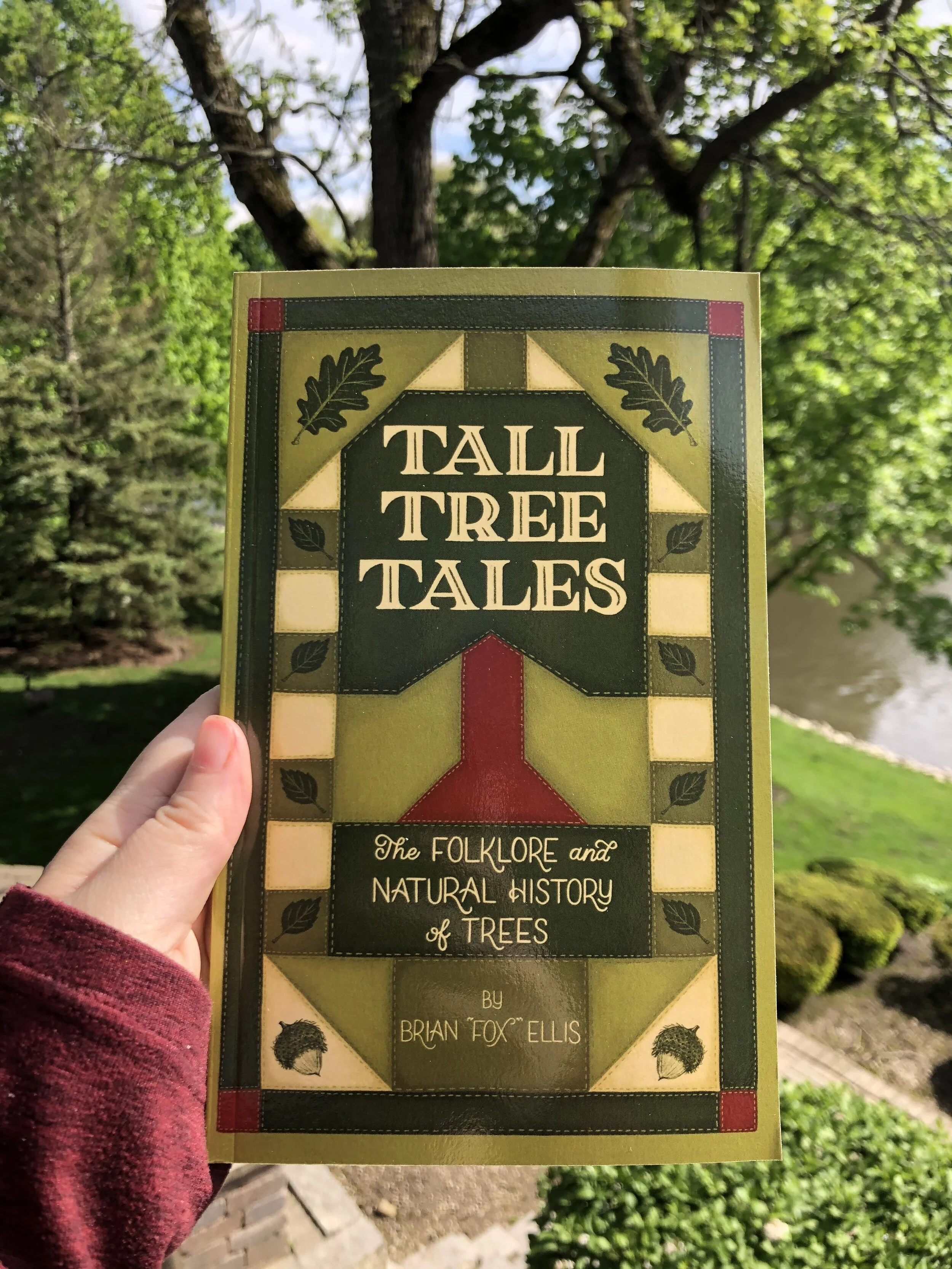 A Bit of News...I'm Illustrating a Book Series!