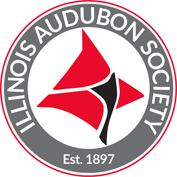IAS-Logo-2023-Transparent-square.png