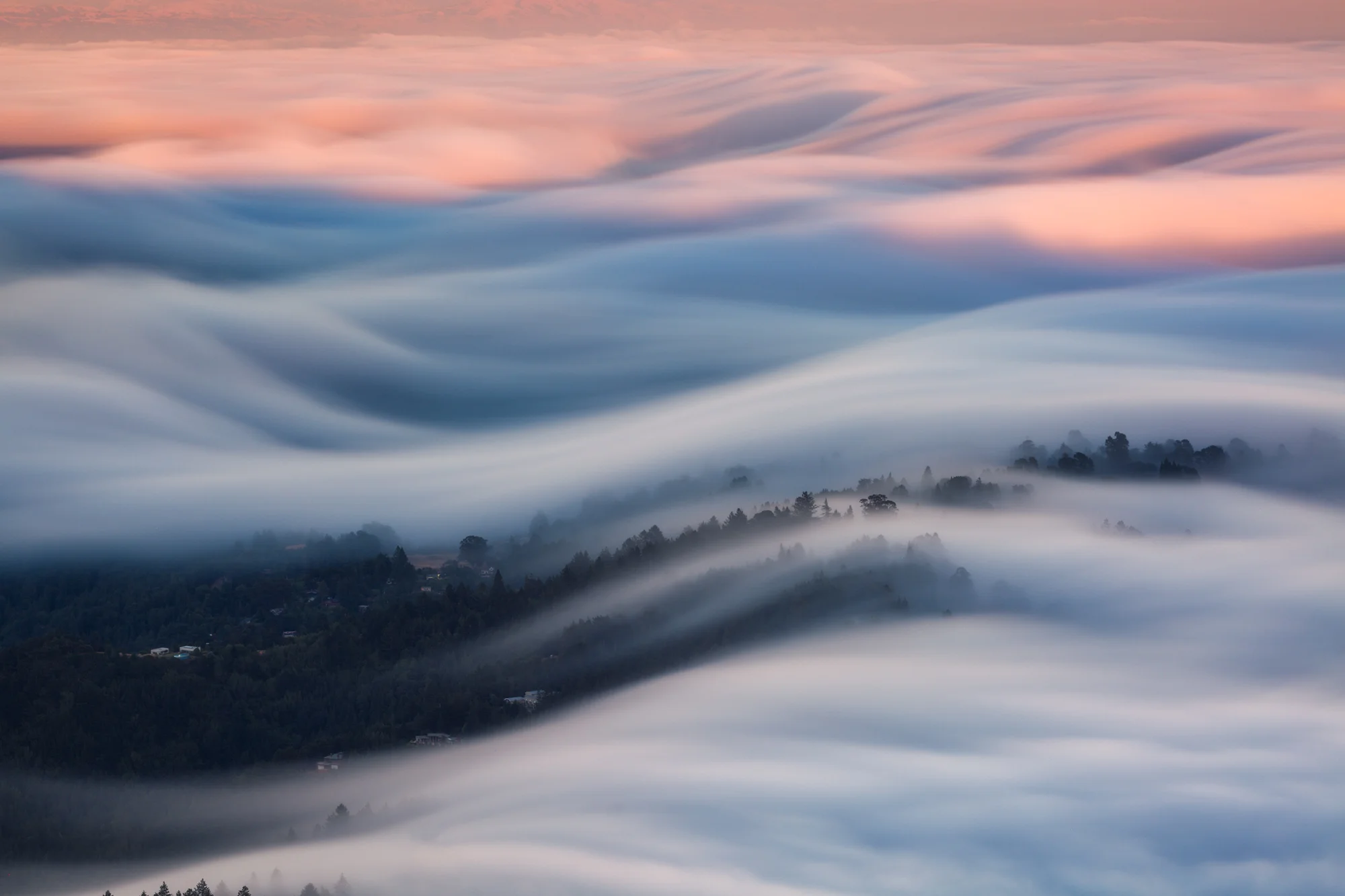Fog Flow