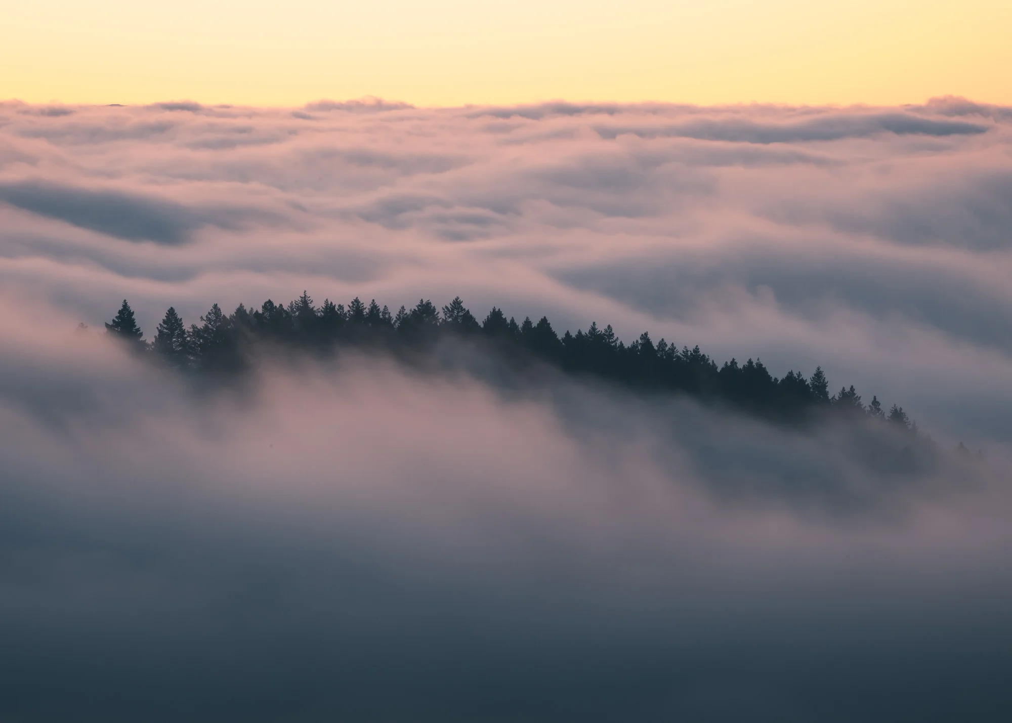 Foggy Awakening