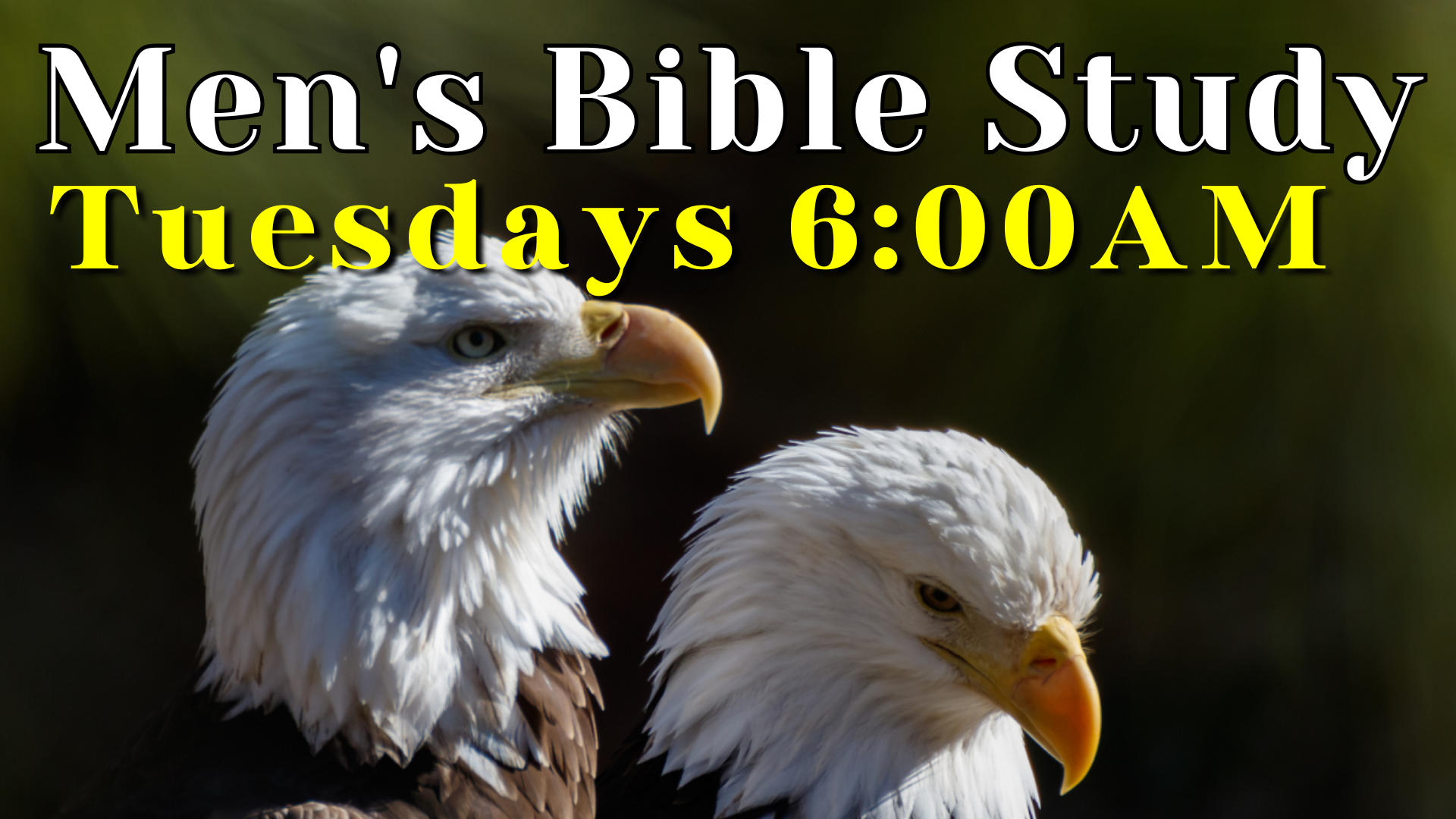 Men's Bible Study.png