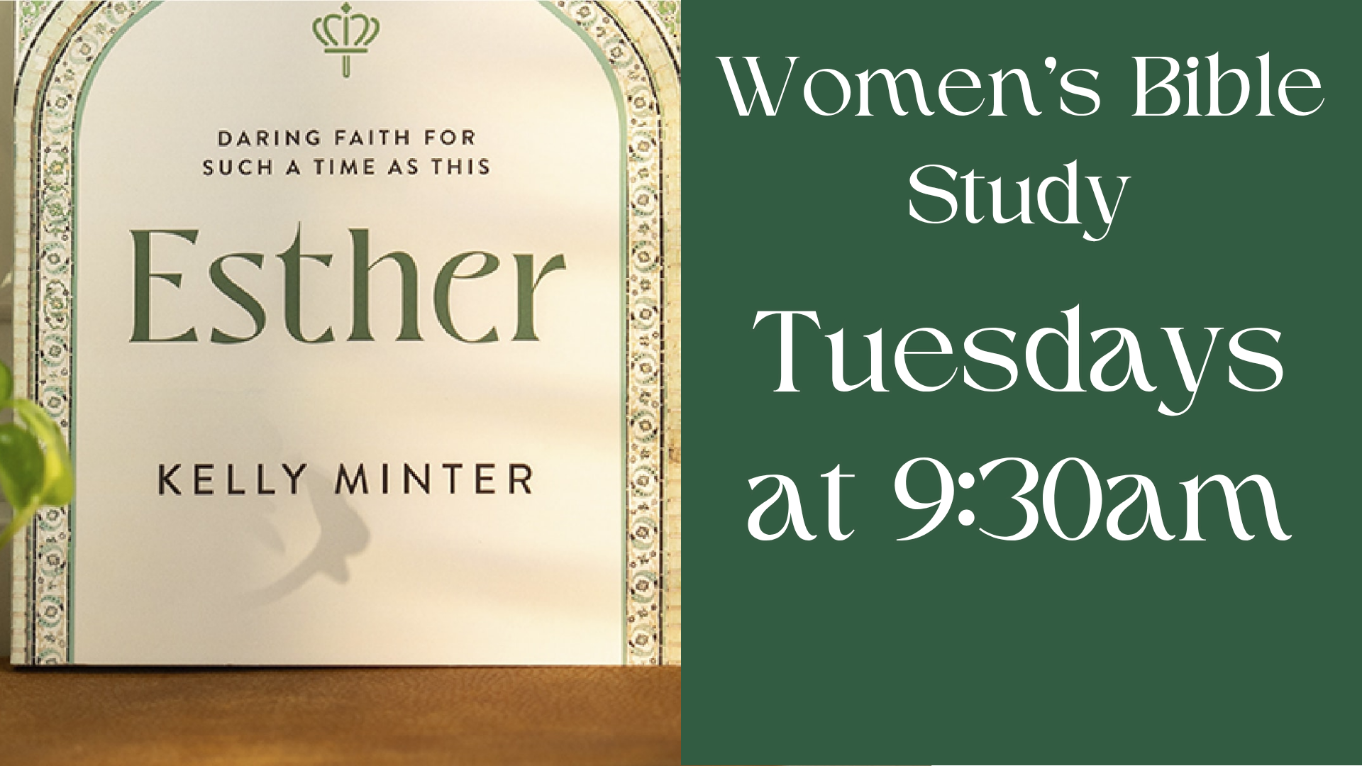 Women's Bible Study New.png