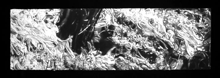 apparition1_30x9_lg.jpg