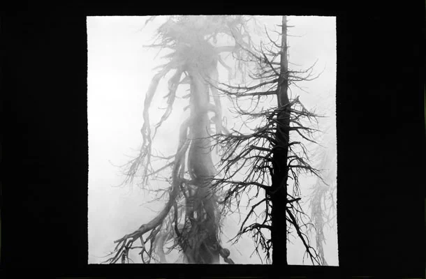 Apparition (sold)