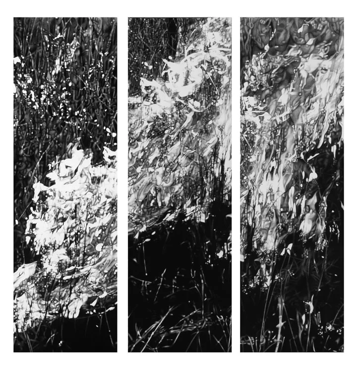 Triptych charcoal on paper sold
