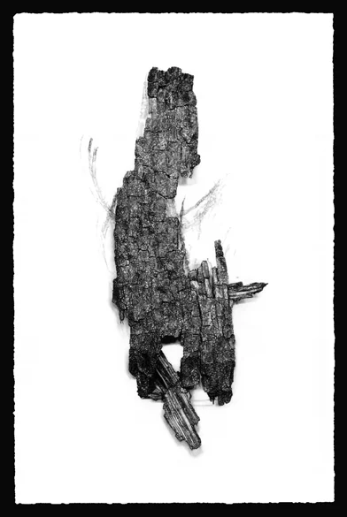 graphite on paper drawing SOLD
