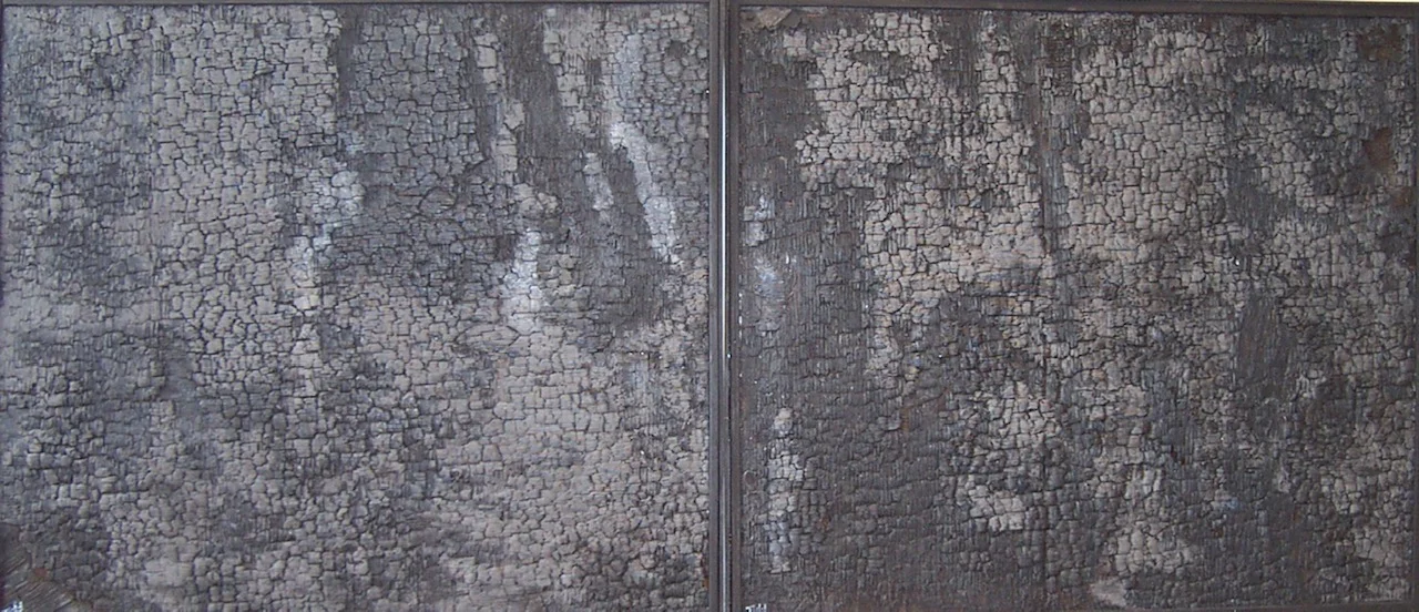 “The Silence” diptych 43” x 98” burnt charred wood, paint SOLD