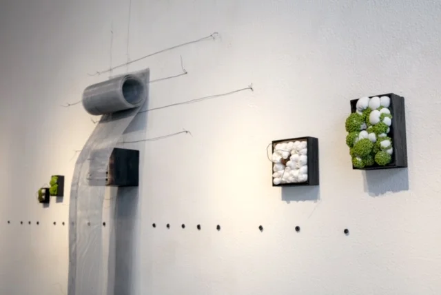 “Suspended in Time” burned pine, annealed wire, embroidery thread (French knots) beeswax, steel, thread, Fosshape, thermoplastic aluminum mesh