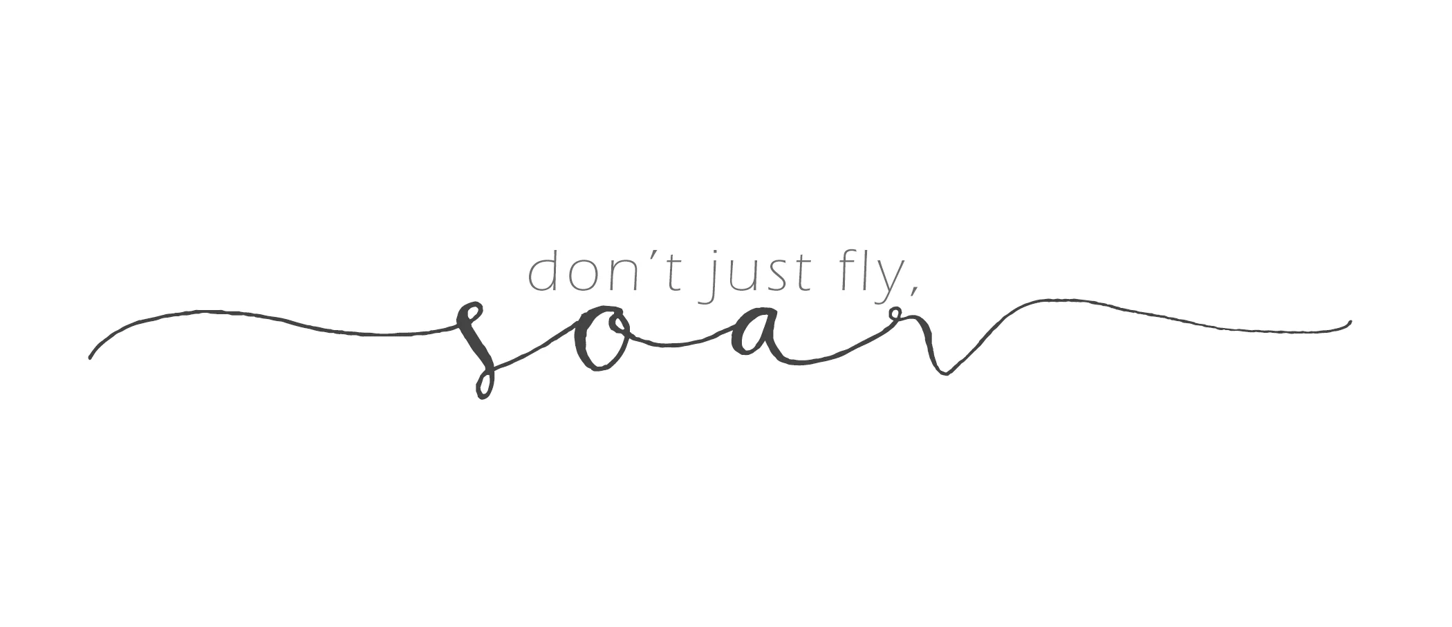 soar.jpg