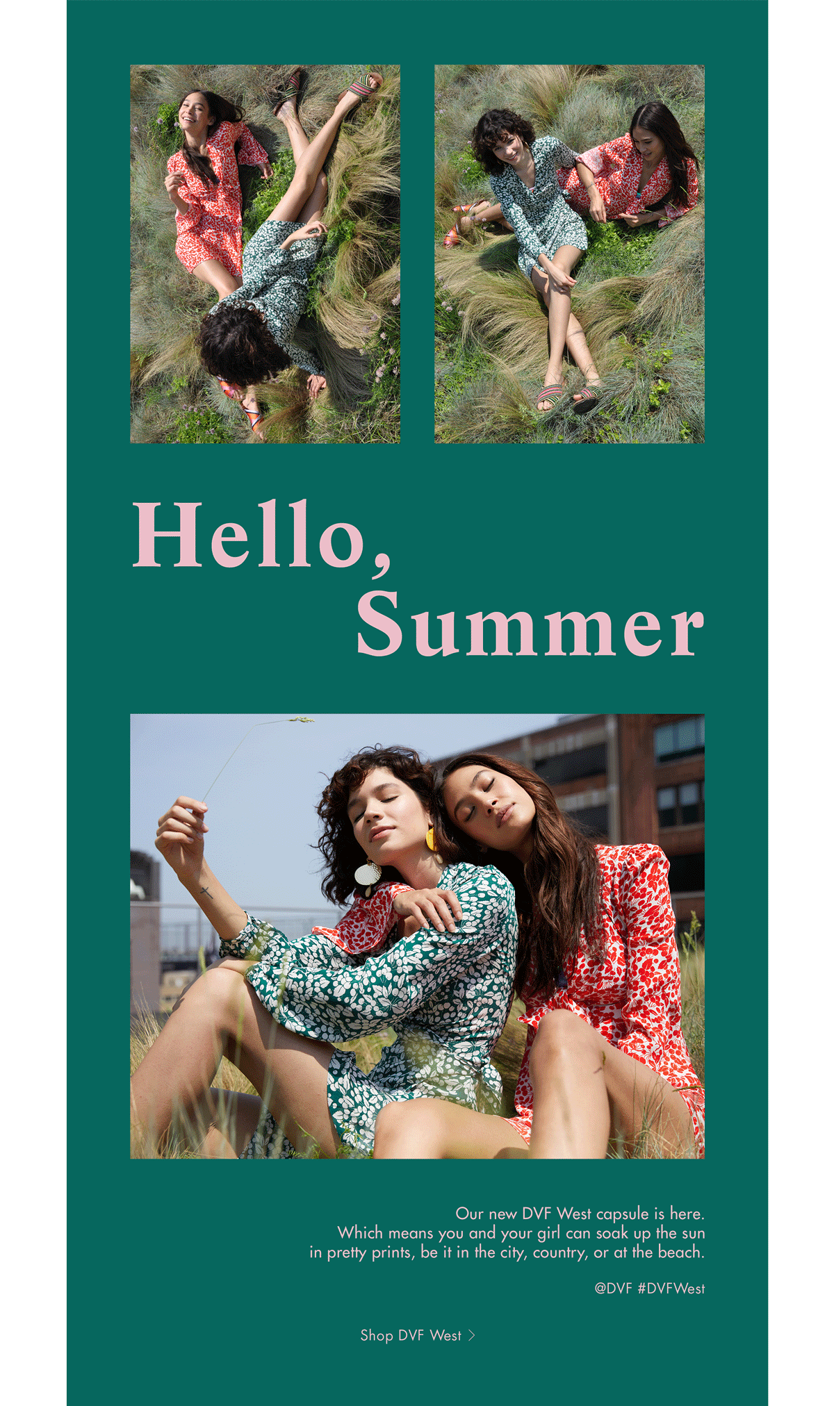 DVF_WEST_FOR_SITE2.gif