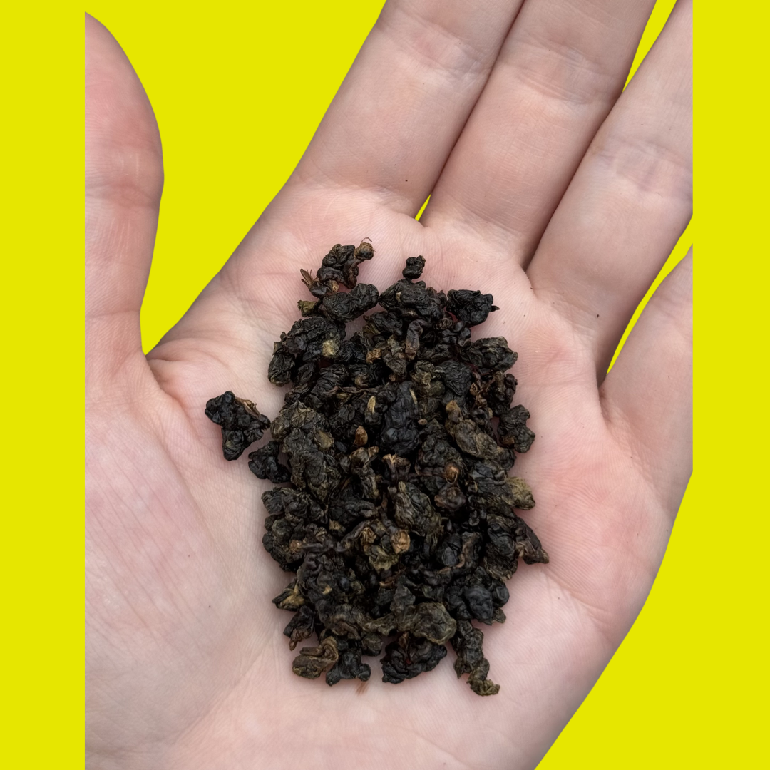 2026 spring black oolong.png