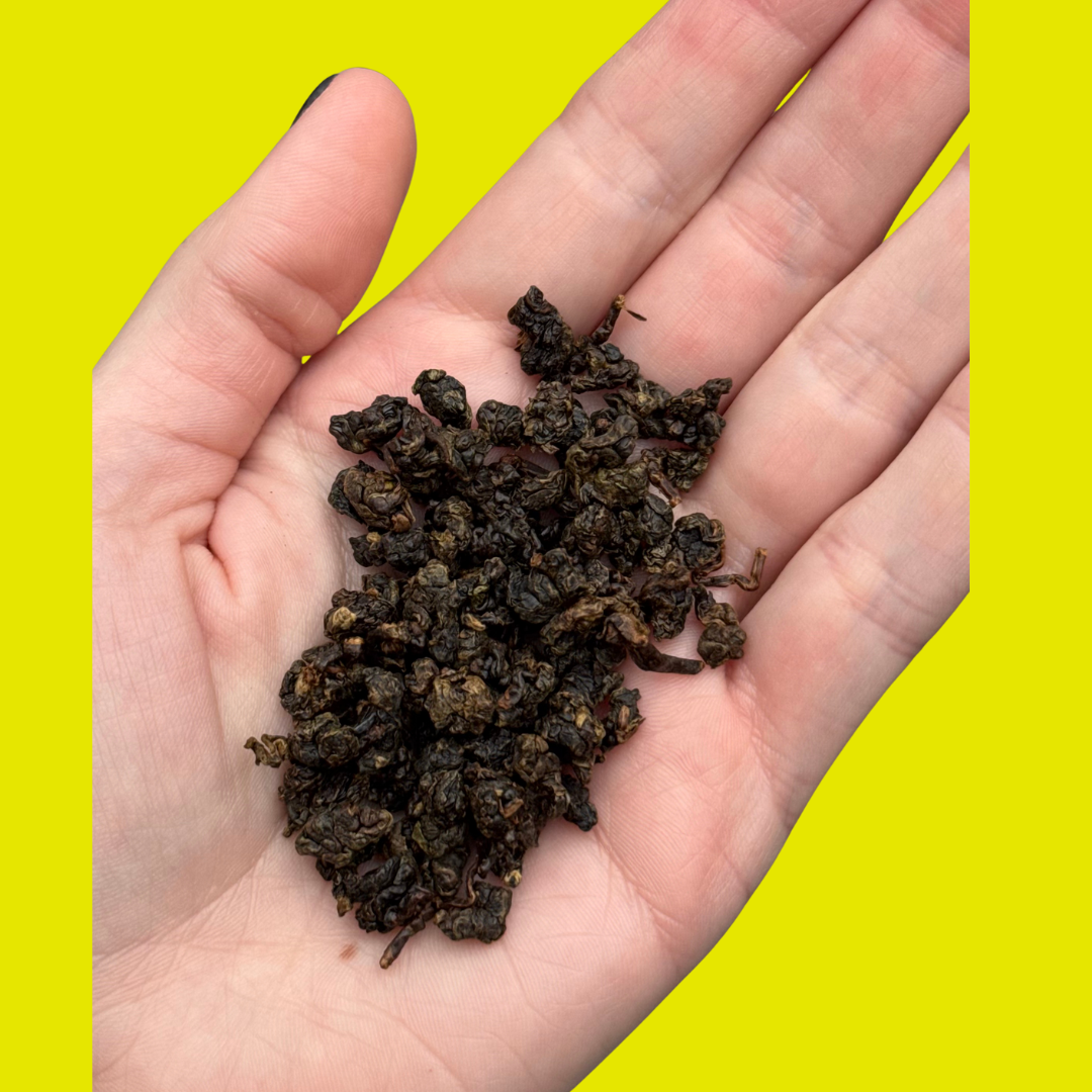 2025 winter black.png