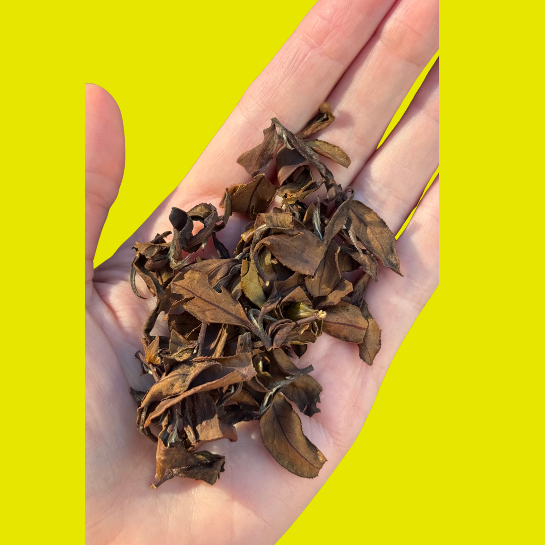 white tea.png