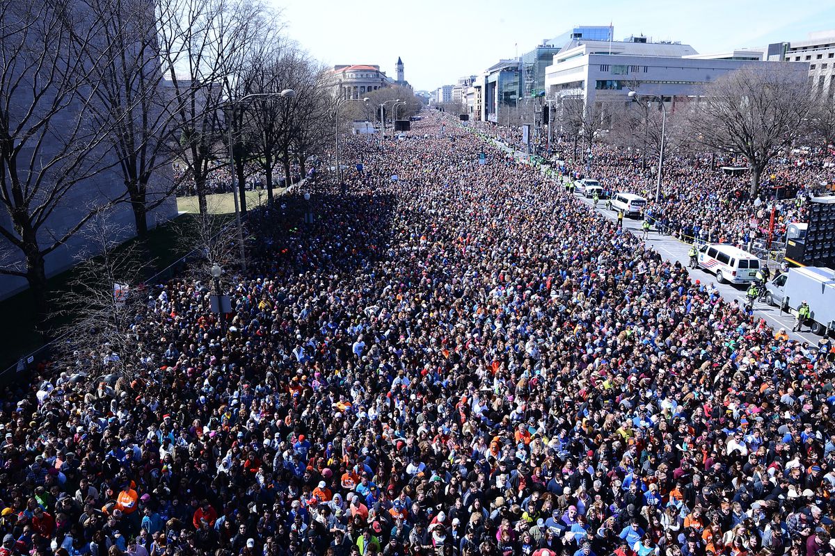 Image Credit: Photo by Shannon Finney/Getty Images – March 24th 2018 - Accessed October 21st, 2018. https://www.vox.com/2018/3/19/17139654/march-for-our-lives-dc-march-24-protest