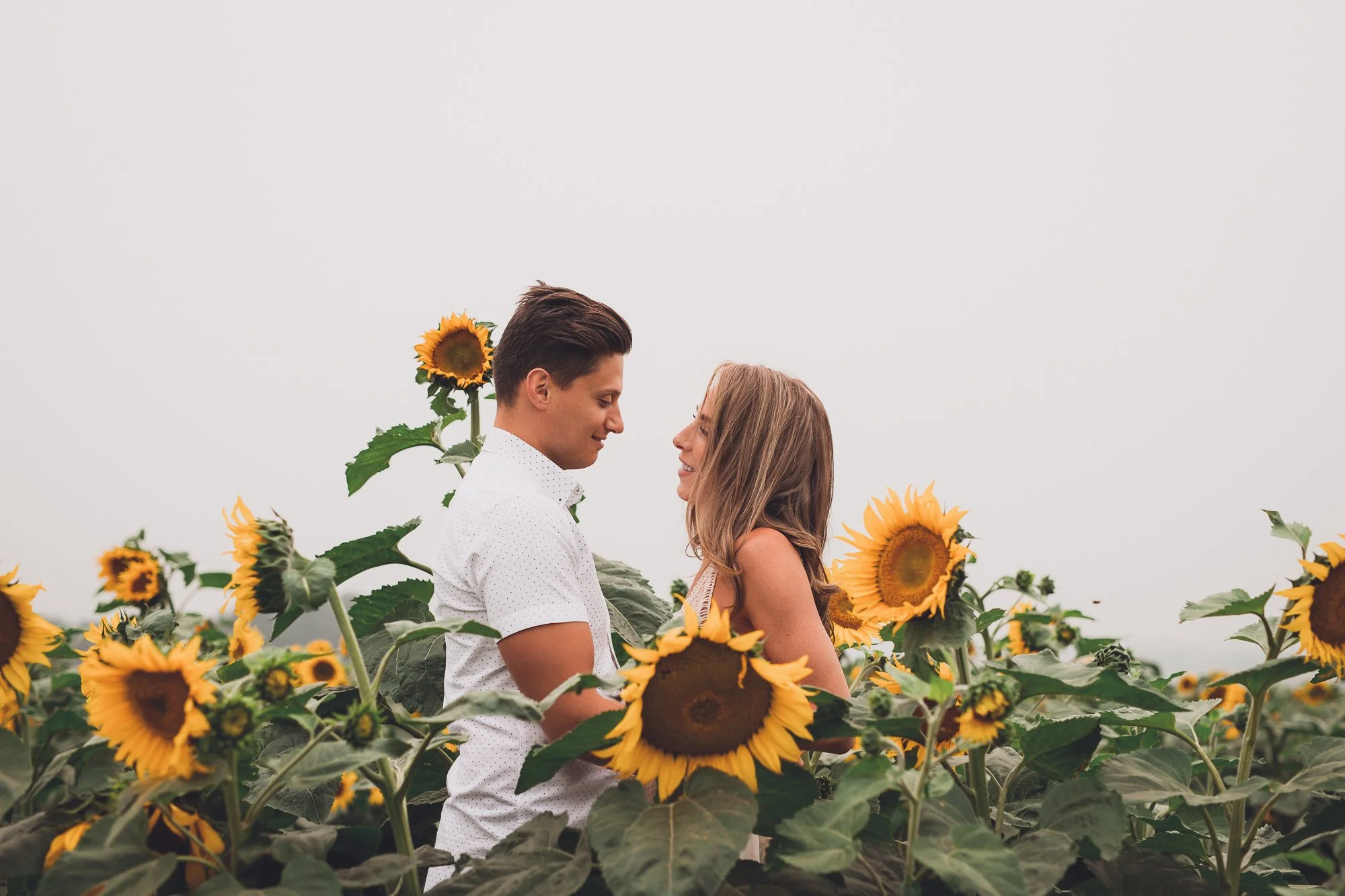 sunflower-maternity-photos-alberta-maxine-lagarde-photography.jpg